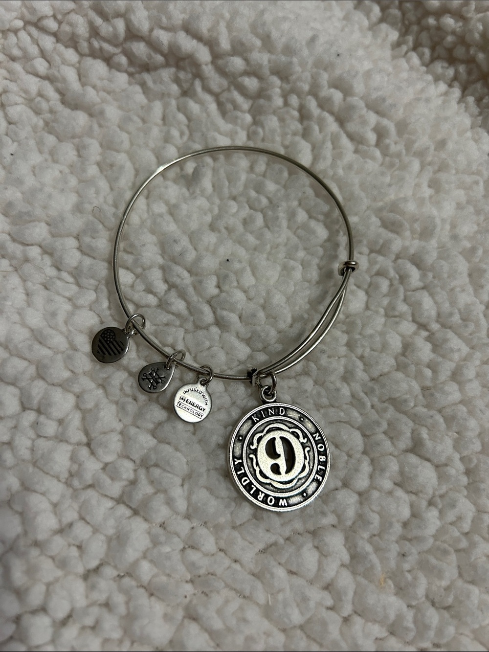 Alex and Ani Silver-Tone 'Kind Noble Worldly' Charm Bangle